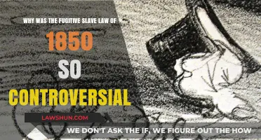 The Fugitive Slave Law of 1850: A Nation Divided