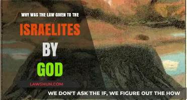 Divine Guidance: Understanding God's Law to the Israelites