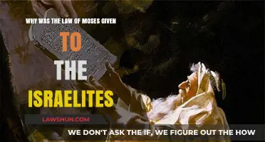 Divine Guidance: Understanding the Purpose of the Law of Moses