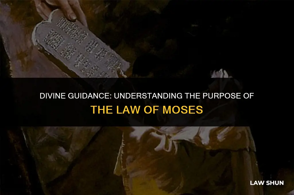 why was the law of moses given to the israelites