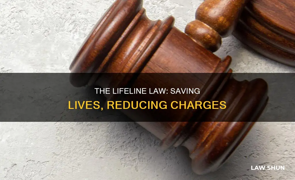 why was the lifeline law created