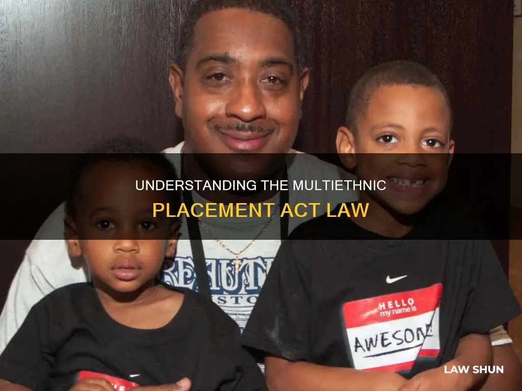 why was the multiethnic placement act law created