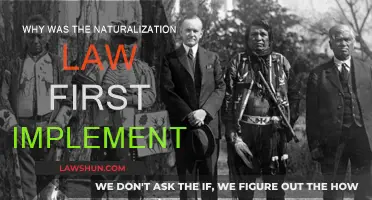 Naturalization Law: Historical Context and Implementation
