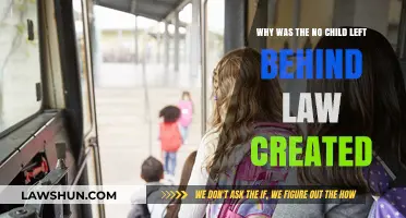 The No Child Left Behind Law: Addressing Educational Inequality
