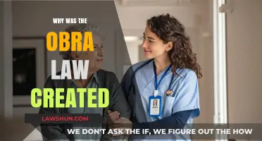 Jonathan's Law: Protecting Children's Privacy In New York State | LawShun