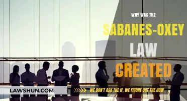 Understanding the Sabanes-Oxey Law: Preventing Corporate Fraud