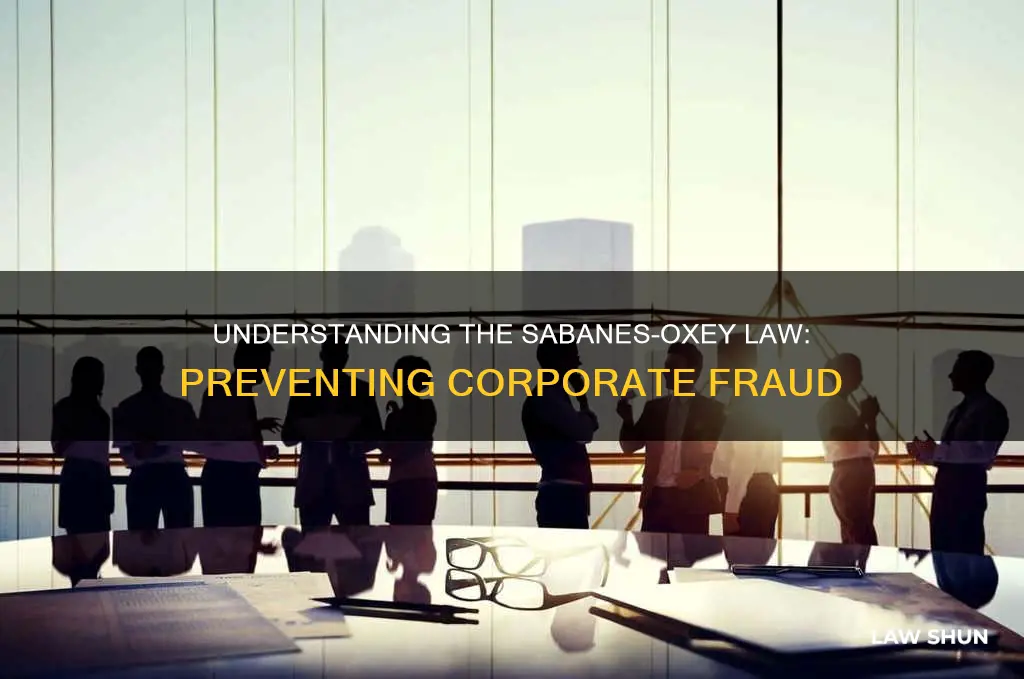 why was the sabanes-oxey law created