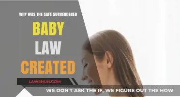 Safe Surrender: Saving Babies, Answering Questions