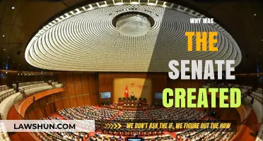 The Senate: Why It Was Created