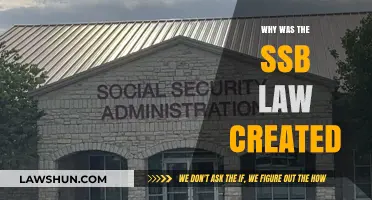 The SSB Law: Protecting Children Online