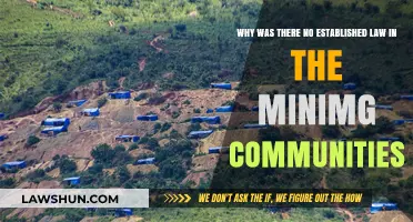 Lawlessness in Mining Communities: Historical Context and Consequences