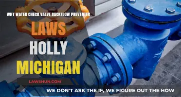 Holly, Michigan's Water Check Valve Backflow Preventer Laws Explained
