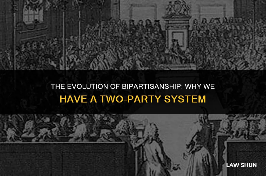 why we have a two party system political science law