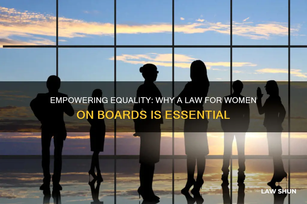 why we need a law for women on boards