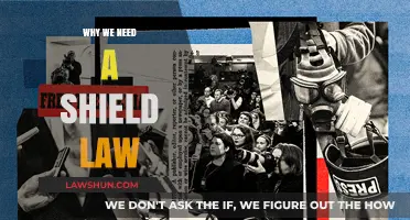 Protecting Press Freedom: Why We Urgently Need a Shield Law