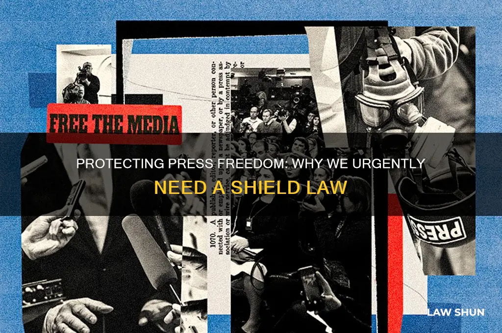 why we need a shield law