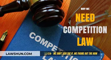 Why Competition Law is Essential for Fair Markets and Innovation