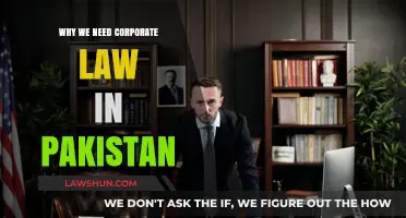Corporate Law in Pakistan: Essential for Economic Growth and Stability