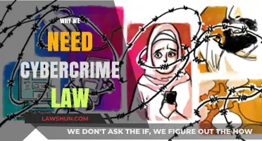 Combating Digital Threats: The Essential Need for Cybercrime Laws
