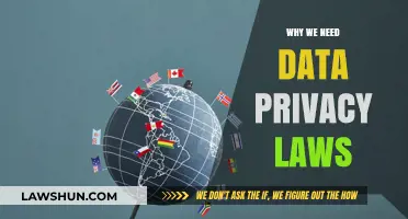 Protecting Personal Data: The Urgent Need for Strong Privacy Laws