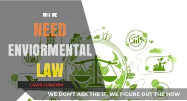 Protecting Our Planet: The Crucial Role of Environmental Law