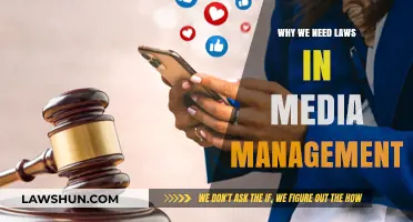 The Essential Role of Laws in Effective Media Management