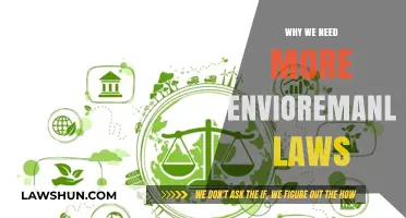 Strengthening Environmental Laws: Safeguarding Our Planet for Future Generations