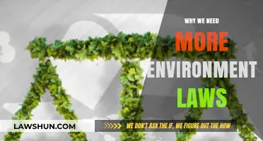 Strengthening Environmental Laws: Protecting Our Planet for Future Generations