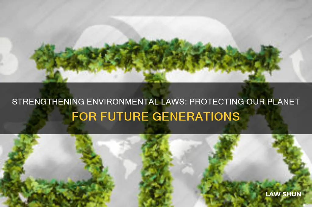 why we need more environmental laws