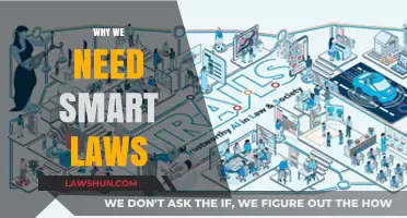 Smart Laws: Essential for a Fair, Efficient, and Future-Ready Society