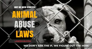 Strengthening Animal Abuse Laws: Protecting Innocent Lives and Ensuring Justice