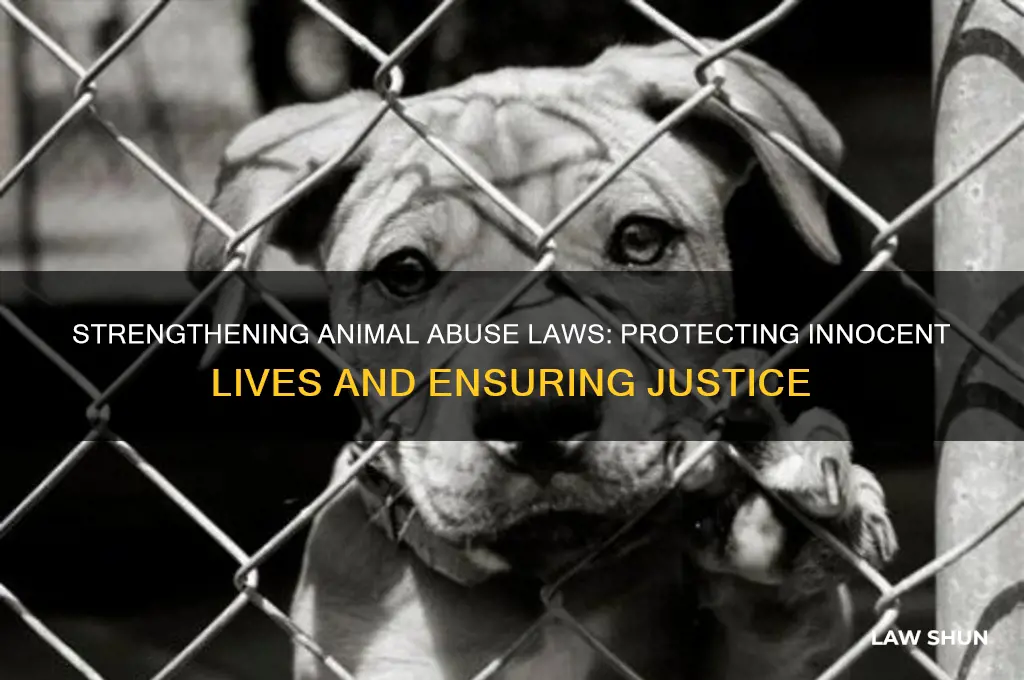 why we need stricter animal abuse laws
