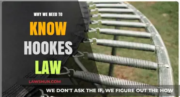 Understanding Hooke's Law: Essential for Engineering and Everyday Life
