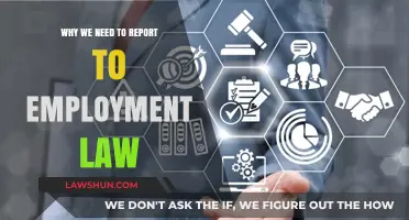 Why Reporting to Employment Law is Essential for Fair Workplaces