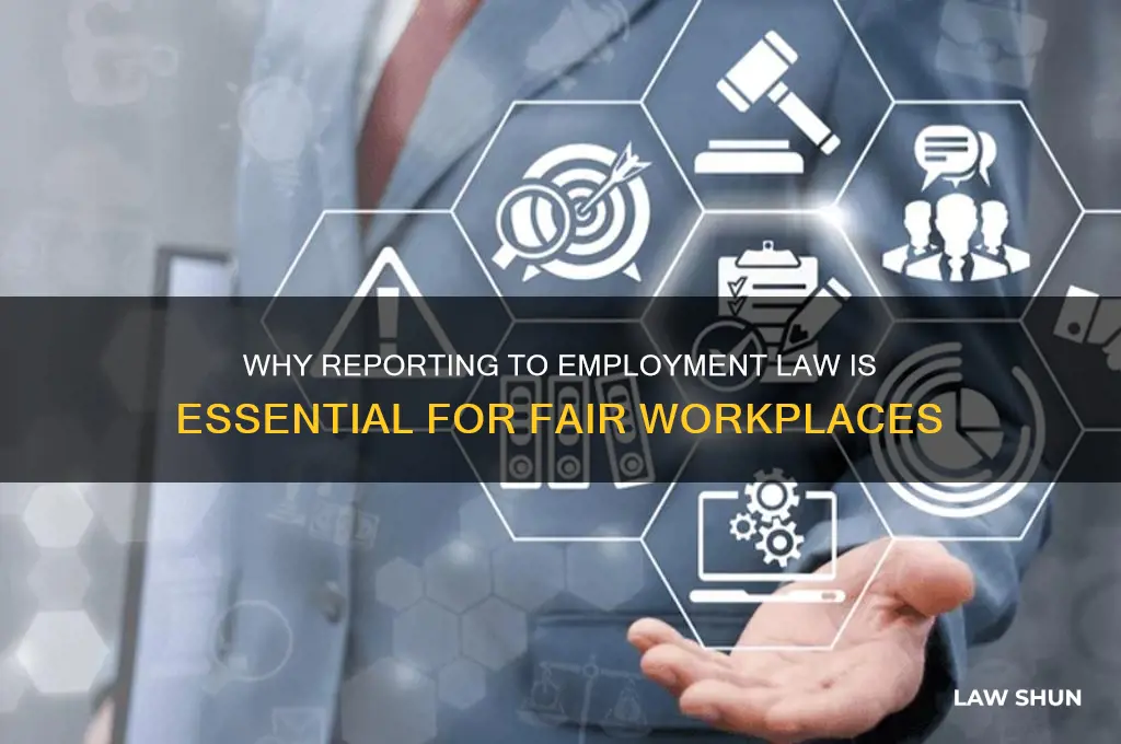 why we need to report to employment law