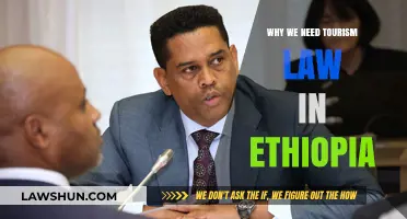Why Ethiopia Needs Tourism Law: Protecting Heritage and Boosting Economy
