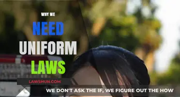 Uniform Laws: Ensuring Fairness, Consistency, and Justice for All Citizens