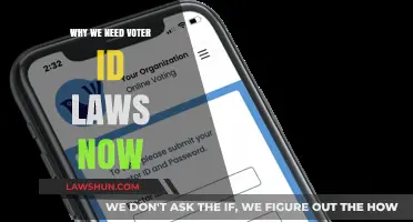Securing Democracy: Why Voter ID Laws Are Essential Today