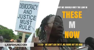 Upholding Justice: The Importance of Law in Modern Society