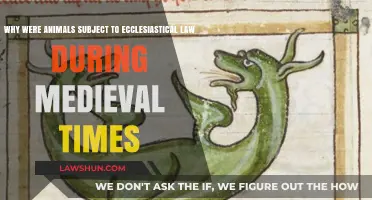 Medieval Beasts: The Intersection of Faith and Fauna