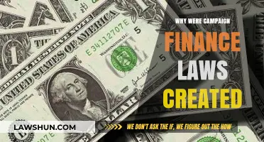 Campaign Finance Laws: Democracy's Money Trail
