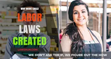 Child Labor Laws: Protecting Children's Rights and Future