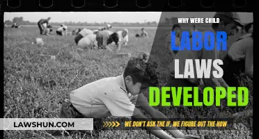 The Rise of Child Labor Laws: Protecting Young Workers' Rights