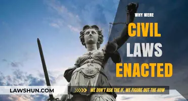 The Evolution and Purpose of Civil Laws: A Historical Perspective