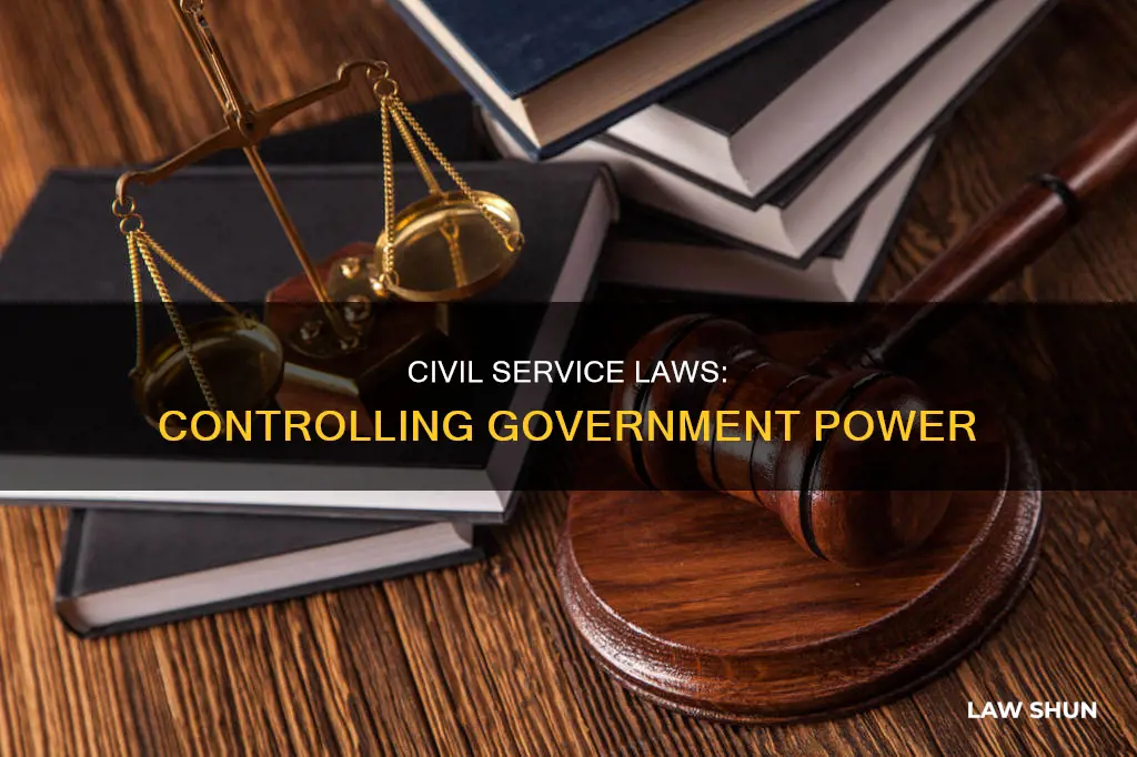 why were civil service laws created