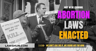 Criminal Abortion Laws: Historical Context and Motivations