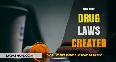 Drug Laws: A Historical Perspective on Their Creation