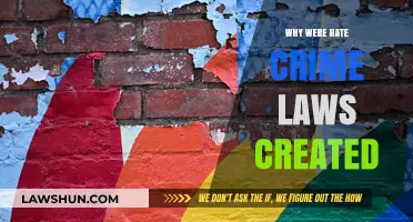 Understanding Hate Crime Laws: History and Purpose