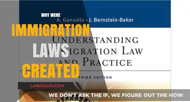 Understanding Immigration Laws: Historical Context