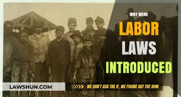 The Rise of Labor Laws: Protecting Workers' Rights and Welfare